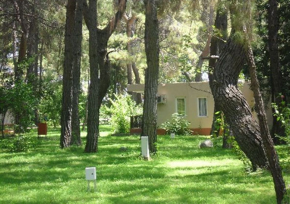 Club Pınara